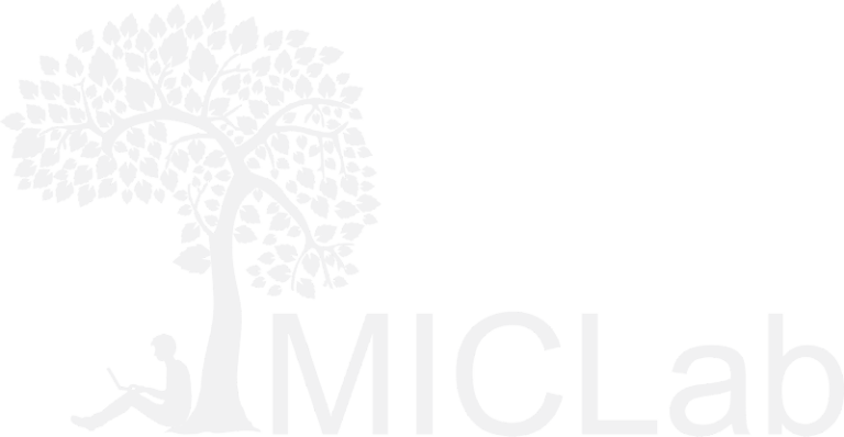 Paper accepted on MICCAI 2024! – MICLab